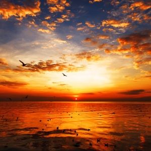 Meet your Posher, Mandy